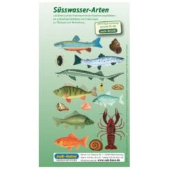 Sub-base Fischkarten Logbuch Einlagen Süsswasser Fische Mit SSI Lochung