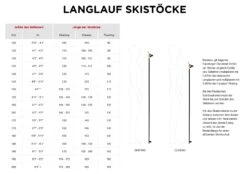 ROSSIGNOL FT-600 CORK Tourenstock Langlaufskistock Collection 2023 -ActionSport Würzburg Shop rdi9520 ft 600 cork3